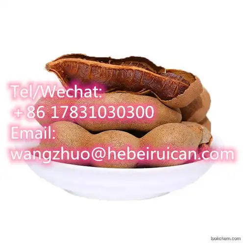 Factory Price Organic Dried Tamarind Seed Extract Powder