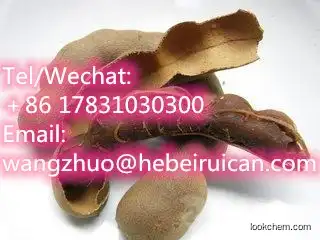 Factory Price Organic Dried Tamarind Seed Extract Powder