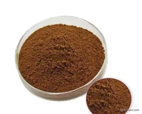 Supply high quality Polygonum multiflorum Extract Fo-ti Extract CAS 82373-94-2