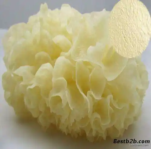 Tremella extract  (20%)  functional  food