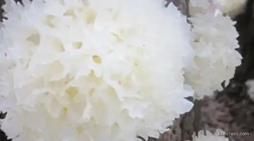 Tremella extract  (20%)  functional  food