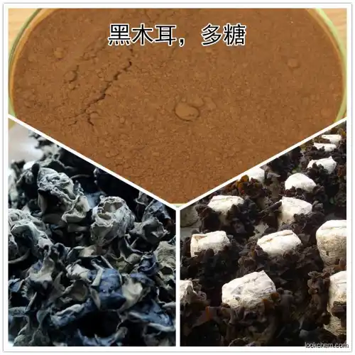 Black Fungus extract 20% Auriculariaauricula food and beverage