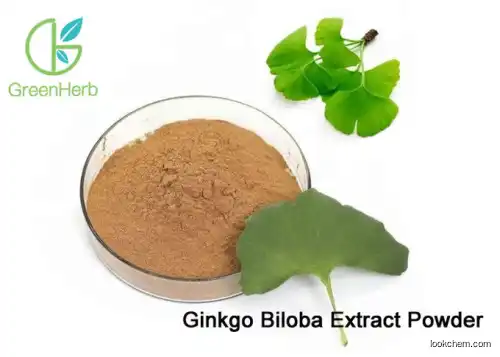 Ginkgo biloba extract  high good quality  nutrition functional food