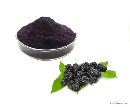 Best Price Mulberry Extract CAS:84082-34-8