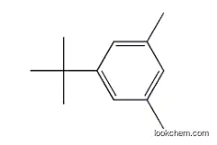 5-TERT-BUTYL-M-XYLENE