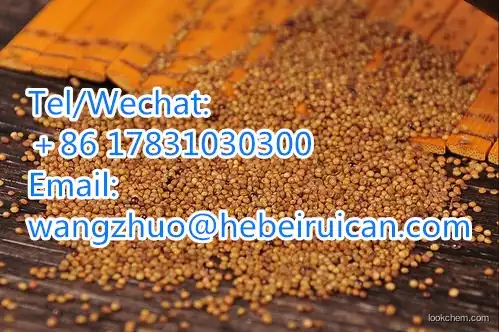 100% Natural High Quality Organic Chinese Herbology Dodder Seed Extract