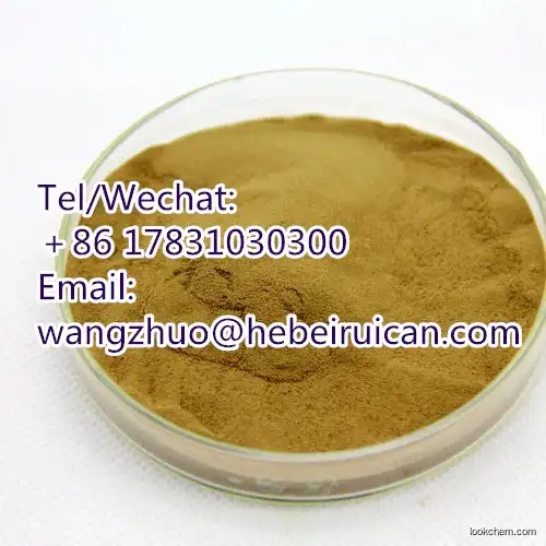Best quality plant herbal BambooLeaf Extract powder