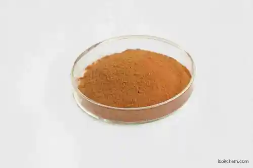100% natural Phodiola extract  nutrition functional food