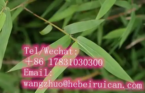 Best quality plant herbal BambooLeaf Extract powder