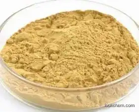 high quality extract Honeysuckle extract (8%) Salidroside food addictive