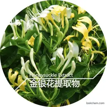 high quality extract Honeysuckle extract (8%) Salidroside food addictive