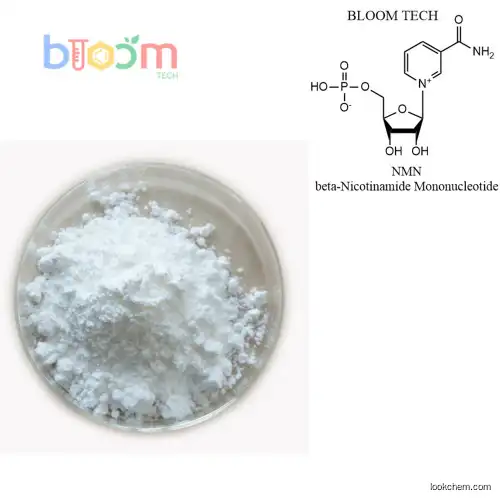 BLOOM TECH  NMN,β-Nicotinamide Mononucleotide CAS 1094-61-7()