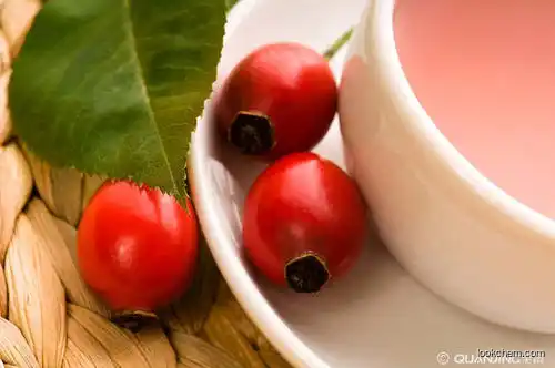 Rosehip Extract  Nutrition Food  high quality  good health nutrition