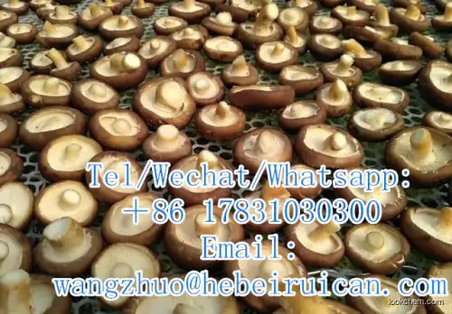 Shiitake Mushroom Powder Lentinus edodes Extract Polysaccharides