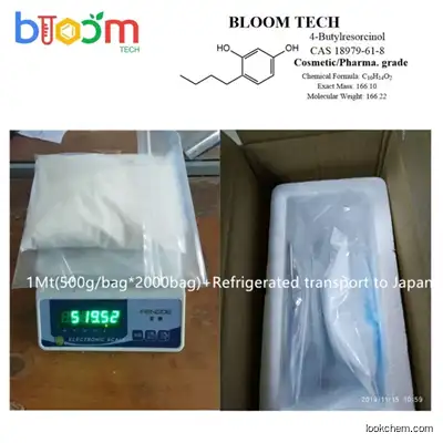 BLOOM TECH Advanced API/Technology support 4-Butylresorcinol CAS 18979-61-8