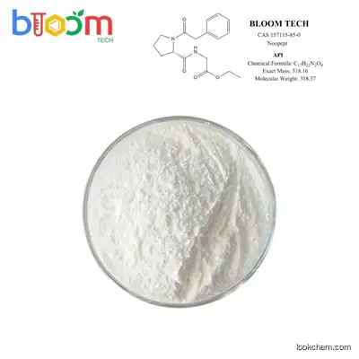BLOOM TECH Advanced API/Technology support Noopept,ethyl 2-[[(2S)-1-(2-phenylacetyl)pyrrolidine-2-carbonyl]amino]acetate CAS 157115-85-0