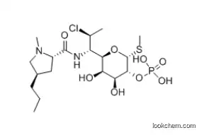 Clindamycin phosphate