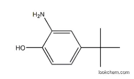 2-Amino-4-tert-butylphenol