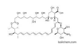 Amphotericin B