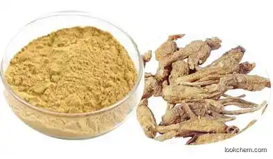 rehmannia  extract  functional food nutrition addictives