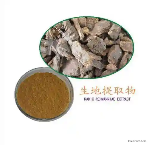 rehmannia  extract  functional food nutrition addictives