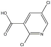 2,5-DICHLOROPYRIDINE-3-CARBOXYLIC ACIDCAS NO.:59782-85-3