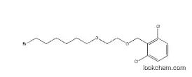 Benzene, 2-[[2-[(6-broMohexyl)oxy]ethoxy]Methyl]-1,3-dichloro