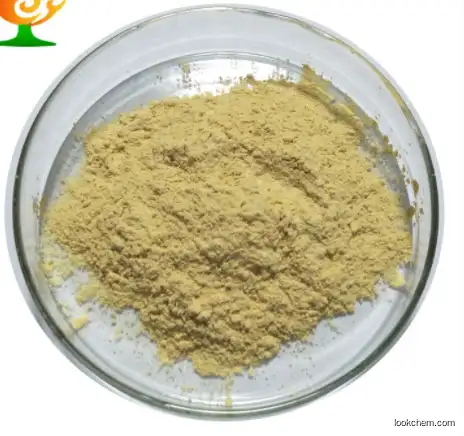 Pure natural Water soluble gingerol 10% powder 84696-15-1