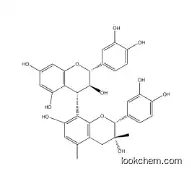 Grape Seed Extract