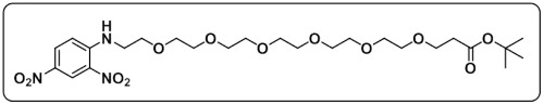 DNP-PEG6-COOtBu