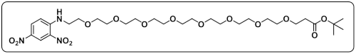 DNP-PEG8-COOtBu