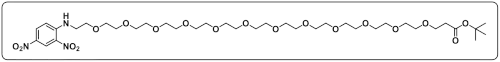 DNP-PEG12-COOtBu