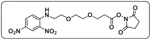 DNP-PEG2-NHS ester