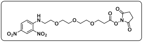 DNP-PEG3-NHS ester