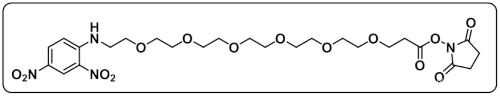 DNP-PEG6-NHS ester