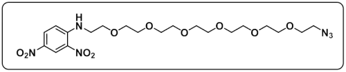 DNP-PEG6-N3