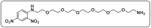 DNP-PEG6-NH2