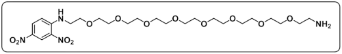 DNP-PEG8-NH2