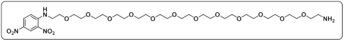 DNP-PEG12-NH2