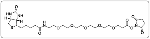 Biotin-PEG5-NHS ester