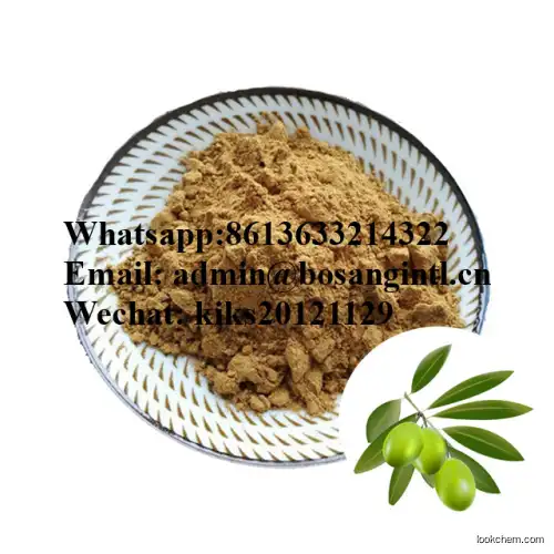High Quality Soapberry Extract Soapnut Extract Powder 70% Saponins CAS 8047-15-2 for washing agent
