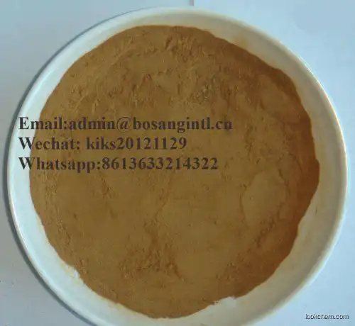 High Quality Soapberry Extract Soapnut Extract Powder 70% Saponins CAS 8047-15-2 for washing agent