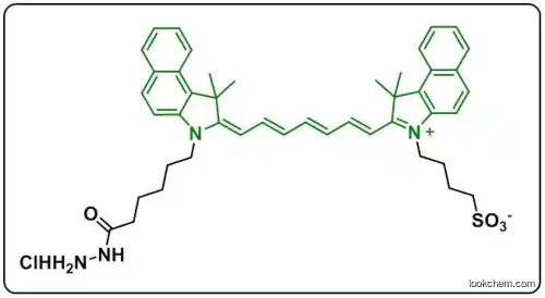 ICG-Hydrazide