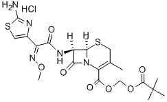 3,4-Dihydroxyphenethyl 3-O-β-D-glucopyranosyl-6-O-(3,4-dihydroxycinnamoyl)-β-D-glucopyranoside