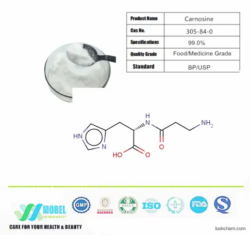 GMP Factory supply CAS 305-84-0 Carnosine powder  L-Carnosine Free Samples