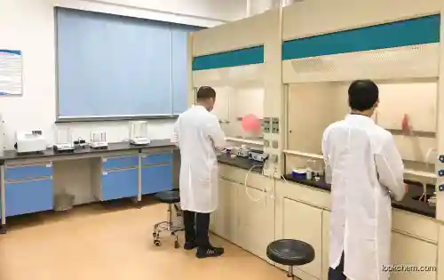 Cortisol Impurity 2