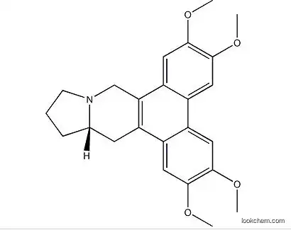 (S)-9,11,12,13,13a,14-Hexahydro-2,3,6,7-tetramethoxydibenzo(f,h)pyrrol o(1,2-b)isoquinoline