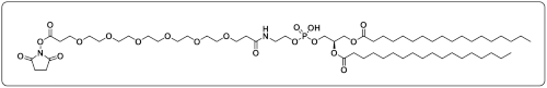 DSPE-PEG6-NHS ester