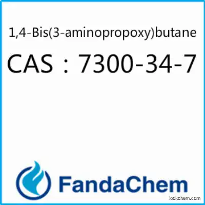 1,4-Bis(3-aminopropoxy)butane  cas  7300-34-7 from Fandachem
