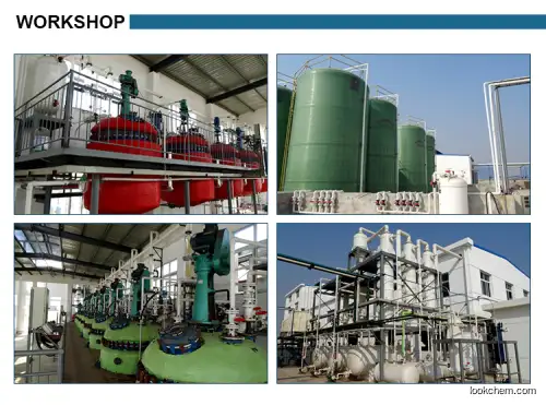 PVAM Polyvinylamine (high cationic polymer)